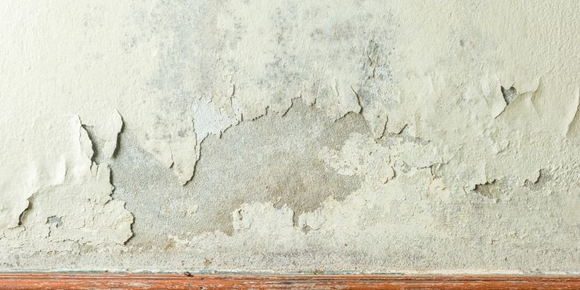 Why You Can't Paint Over Mildew